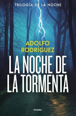 NOCHE DE LA TORMENTA, LA | 9788425374227 | RODRÍGUEZ, ADOLFO | Llibreria L'Illa - Llibreria Online de Mollet - Comprar llibres online