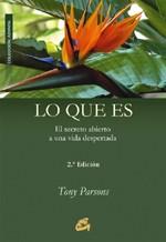 LO QUE ES | 9788484450641 | PARSONS, TONY | Llibreria L'Illa - Llibreria Online de Mollet - Comprar llibres online