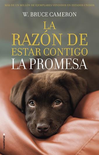 RAZÓN DE ESTAR CONTIGO, LA | 9788417167103 | CAMERON, W. BRUCE | Llibreria L'Illa - Llibreria Online de Mollet - Comprar llibres online