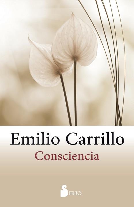 CONSCIENCIA | 9788416579938 | CARRILLO BENITO, EMILIO | Llibreria L'Illa - Llibreria Online de Mollet - Comprar llibres online