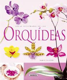ATLAS ILUSTRADO DE ORQUÍDEAS | 9788430563715 | SUSAETA, EQUIPO | Llibreria L'Illa - Llibreria Online de Mollet - Comprar llibres online