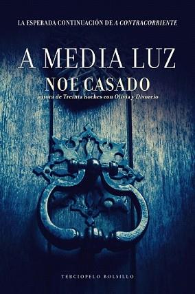 A MEDIA LUZ | 9788415952961 | CASADO, NOE | Llibreria L'Illa - Llibreria Online de Mollet - Comprar llibres online