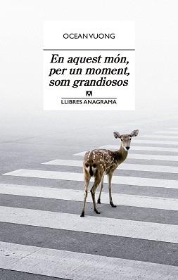 EN AQUEST MÓN PER UN MOMENT SOM GRANDIOSOS | 9788433915801 | VUONG, OCEAN | Llibreria L'Illa - Llibreria Online de Mollet - Comprar llibres online