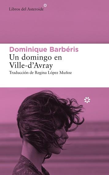 DOMINGO EN VILLE-D’AVRAY, UN | 9788417977634 | BARBÉRIS, DOMINIQUE