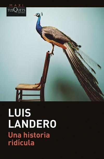 HISTORIA RIDÍCULA, UNA | 9788411073288 | LANDERO, LUIS | Llibreria L'Illa - Llibreria Online de Mollet - Comprar llibres online