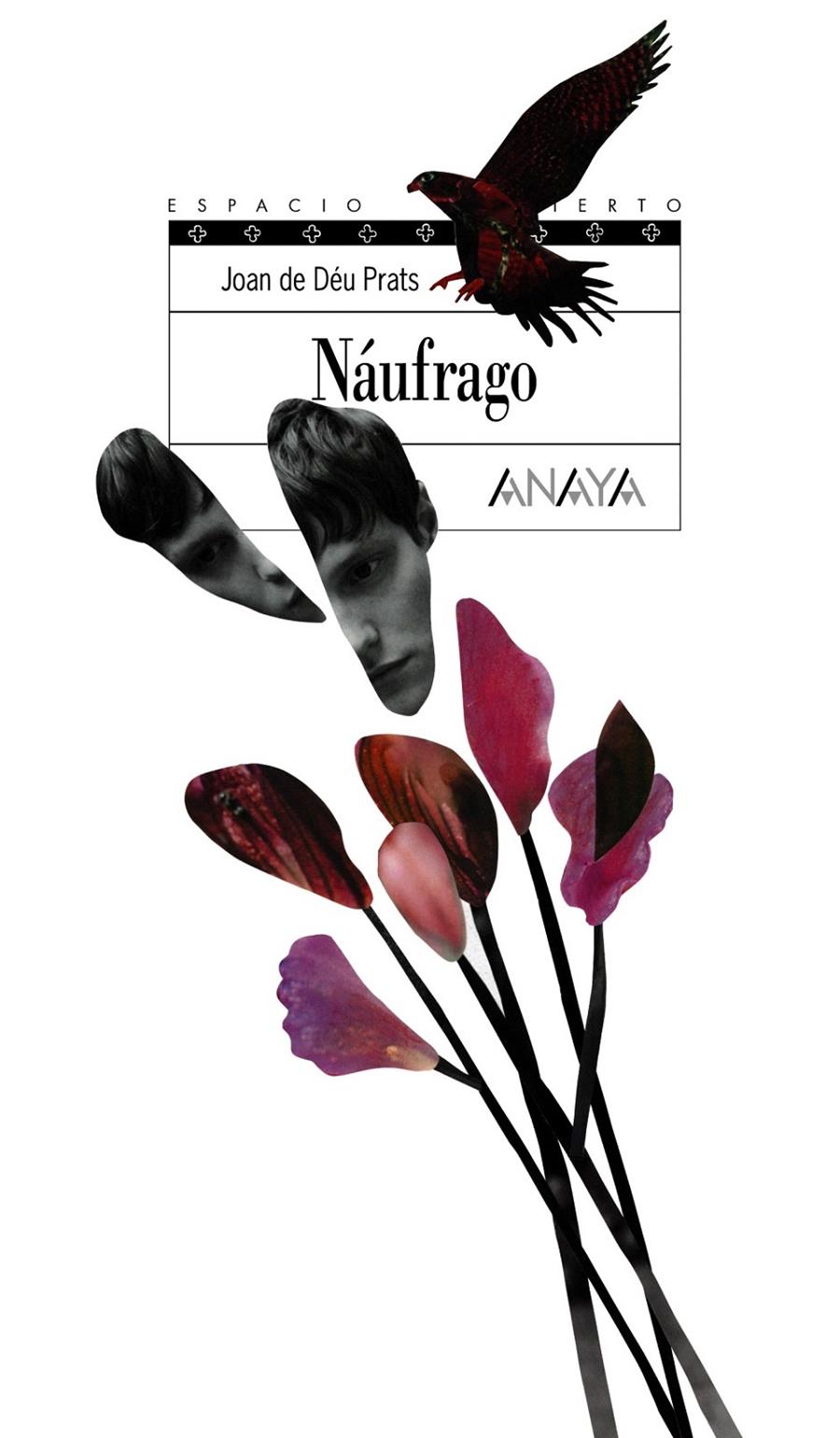 NÁUFRAGO | 9788466792486 | PRATS, JOAN DE DÉU | Llibreria L'Illa - Llibreria Online de Mollet - Comprar llibres online