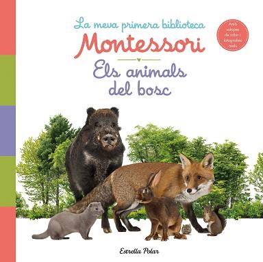 ANIMALS DEL BOSC. LA MEVA PRIMERA BIBLIOTECA MONTESSORI | 9788413890159 | AA. VV. | Llibreria L'Illa - Llibreria Online de Mollet - Comprar llibres online