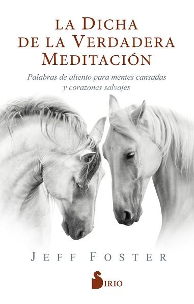 DICHA DE LA VERDADERA MEDITACIÓN, LA | 9788418000522 | FOSTER, JEFF