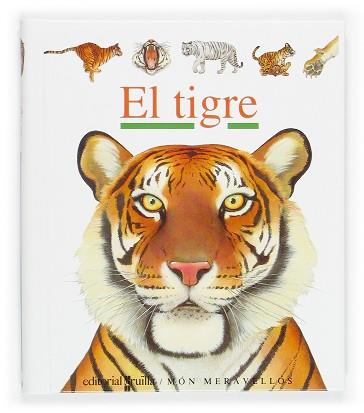 TIGRE, EL | 9788466106184 | Llibreria L'Illa - Llibreria Online de Mollet - Comprar llibres online