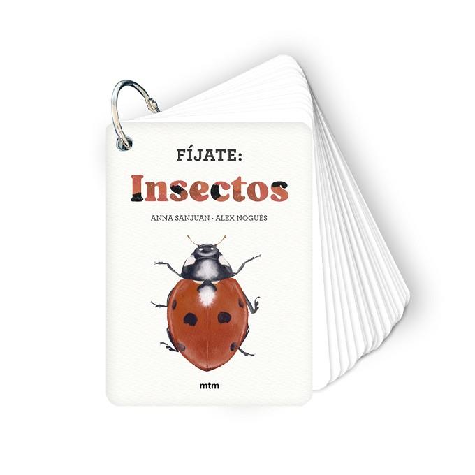 FÍJATE INSECTOS | 9788410407183 | SANJUAN LLORENS, ANNA/NOGUÉS, ALEX