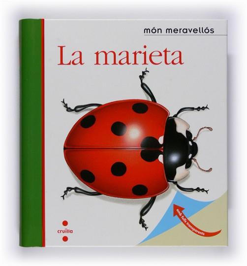 MARIETA, LA | 9788466120920 | GALLIMARD JEUNESSE, ÉDITIONS | Llibreria L'Illa - Llibreria Online de Mollet - Comprar llibres online