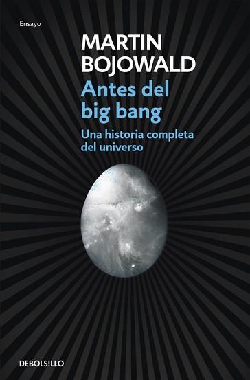 ANTES DEL BIG BANG | 9788499087917 | BOJOWALD, MARTIN | Llibreria L'Illa - Llibreria Online de Mollet - Comprar llibres online
