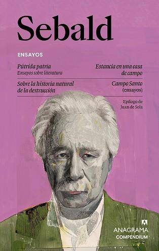 ENSAYOS | 9788433949585 | SEBALD, W.G. | Llibreria L'Illa - Llibreria Online de Mollet - Comprar llibres online