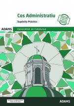 COS ADMINISTRATIU GENERALITAT DE CATALUNYA - SUP SITS PRACTICS I COMPETENCIES PR | 9788410771031 | VV. AA.