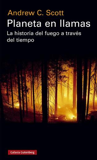 PLANETA EN LLAMAS | 9788417971588 | SCOTT, ANDREW C. | Llibreria L'Illa - Llibreria Online de Mollet - Comprar llibres online