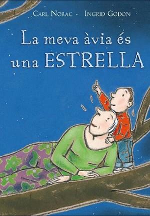 MEVA AVIA ES UNA ESTRELLA, LA | 9788495987563 | NORAC, CARL / GODON, INGRID