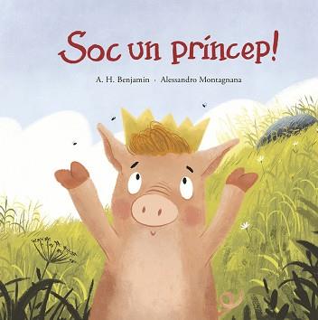 SOC UN PRÍNCEP! | 9788419253484 | BENJAMIN, A.H.