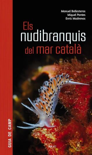 NUDIBRANQUIS DEL MAR CATALA, ELS | 9788415885924 | BALLESTEROS VÁZQUEZ, MANUEL/PONTES GARCIA, MIQUEL/MADRENAS TOMÀS, ENRIC | Llibreria L'Illa - Llibreria Online de Mollet - Comprar llibres online