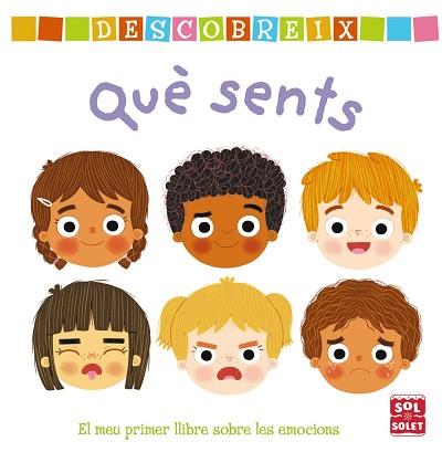 DESCOBREIX QUÈ SENTS | 9788499063003 | VARIOS AUTORES | Llibreria L'Illa - Llibreria Online de Mollet - Comprar llibres online