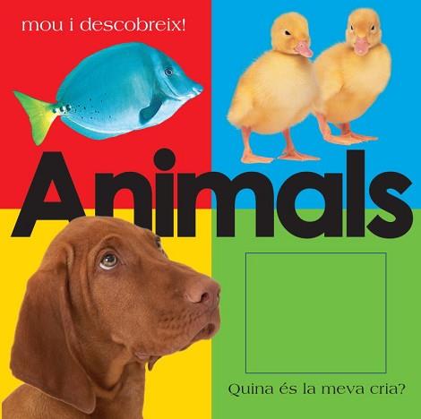 ANIMALS | 9788448825911 | VV.AA. | Llibreria L'Illa - Llibreria Online de Mollet - Comprar llibres online