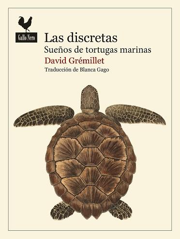 DISCRETAS, LAS | 9788419168986 | GRÉMILLET, DAVID | Llibreria L'Illa - Llibreria Online de Mollet - Comprar llibres online