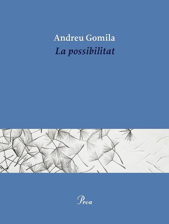 POSSIBILITAT, LA | 9791388369155 | GOMILA LLOBERA, ANDREU | Llibreria L'Illa - Llibreria Online de Mollet - Comprar llibres online