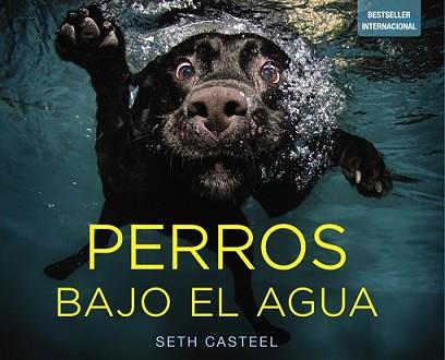 PERROS BAJO EL AGUA | 9788441534612 | CASTEL, SETH
