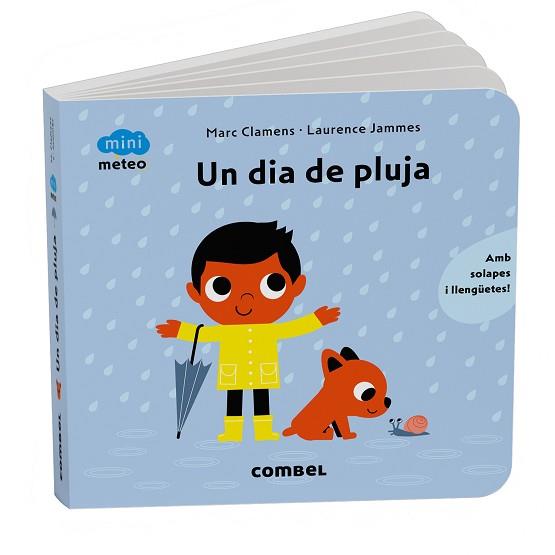 DIA DE PLUJA, UN | 9788411583206