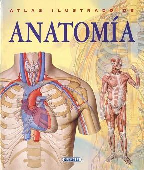 ATLAS ILUSTRADO DE ANATOMIA | 9788430534784 | Llibreria L'Illa - Llibreria Online de Mollet - Comprar llibres online