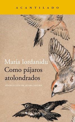 COMO PÁJAROS ATOLONDRADOS | 9788419036704 | IORDANIDU, MARIA | Llibreria L'Illa - Llibreria Online de Mollet - Comprar llibres online