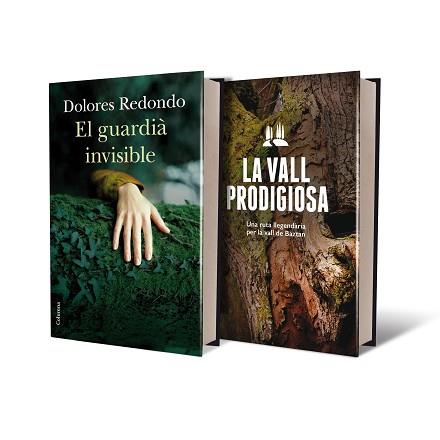 GUARDIÀ INVISIBLE + GUIA DE BAZTAN, EL | 9788466419154 | REDONDO, DOLORES | Llibreria L'Illa - Llibreria Online de Mollet - Comprar llibres online