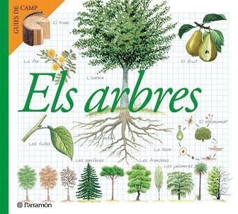 ARBRES, ELS | 9788434228320 | VARIS | Llibreria L'Illa - Llibreria Online de Mollet - Comprar llibres online