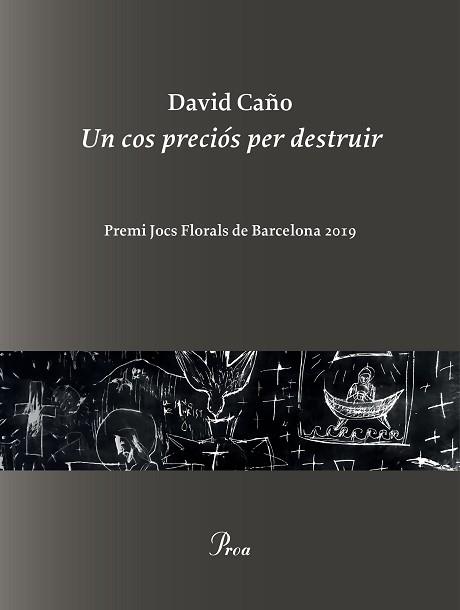 COS PRECIÓS PER DESTRUIR, UN | 9788475887999 | CAÑO, DAVID | Llibreria L'Illa - Llibreria Online de Mollet - Comprar llibres online