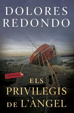 PRIVILEGIS DE L'ÀNGEL, ELS | 9788417423971 | REDONDO, DOLORES | Llibreria L'Illa - Llibreria Online de Mollet - Comprar llibres online