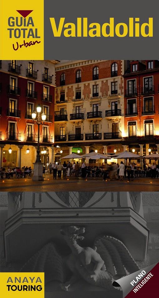 VALLADOLID (RÚSTICA) | 9788499353708 | IZQUIERDO, PASCUAL