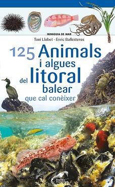 125 ANIMALS I ALGUES DEL LITORAL BALEAR QUE CAL CONÈIXER | 9788413562704 | BALLESTEROS SAGARRA, ENRIC | Llibreria L'Illa - Llibreria Online de Mollet - Comprar llibres online