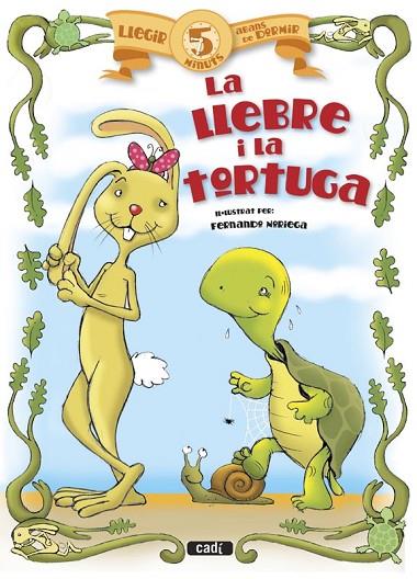 LLEBRE I LA TORTUGA, LA | 9788447441020