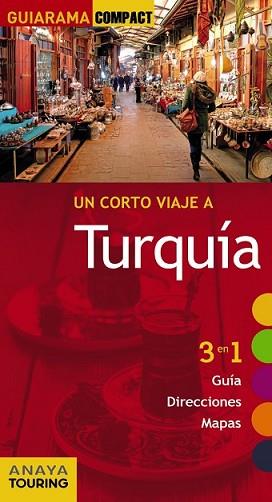 TURQUÍA | 9788499356921 | STRUBELL, PABLO | Llibreria L'Illa - Llibreria Online de Mollet - Comprar llibres online