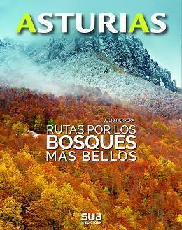 RUTAS POR LOS BOSQUES MÁS BELLOS | 9788482167190 | HERRERA MENENDEZ, JULIO | Llibreria L'Illa - Llibreria Online de Mollet - Comprar llibres online