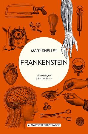 FRANKENSTEIN (POCKET) | 9788418008511 | SHELLEY, MARY | Llibreria L'Illa - Llibreria Online de Mollet - Comprar llibres online