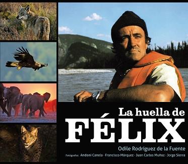 HUELLA DE FELIX, LA | 9788425345685 | RODRIGUEZ DE LA FUENTE, ODILE | Llibreria L'Illa - Llibreria Online de Mollet - Comprar llibres online