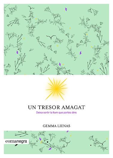 TRESOR AMAGAT, UN | 9788416605347 | LIENAS MASSOT, GEMMA | Llibreria L'Illa - Llibreria Online de Mollet - Comprar llibres online