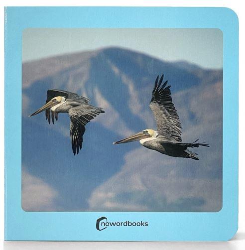 AVES | 9788412534498 | AA.VV. | Llibreria L'Illa - Llibreria Online de Mollet - Comprar llibres online