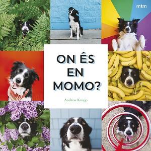 ON ÉS EN MOMO? | 9788410407893 | KNAPP, ANDREW | Llibreria L'Illa - Llibreria Online de Mollet - Comprar llibres online
