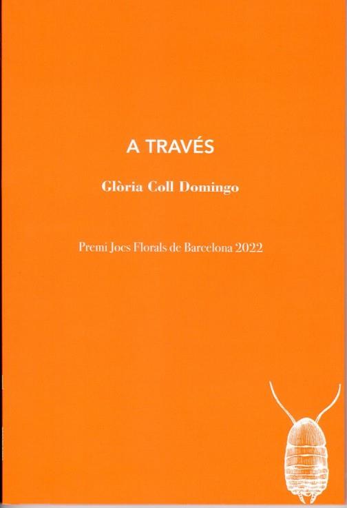 A TRAVÉS | 9788412457599 | COLL DOMINGO, GLÒRIA | Llibreria L'Illa - Llibreria Online de Mollet - Comprar llibres online