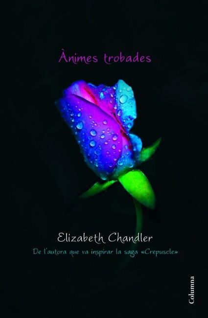 ANIMES TROBADES | 9788466415095 | CHANDLER, ELIZABETH | Llibreria L'Illa - Llibreria Online de Mollet - Comprar llibres online