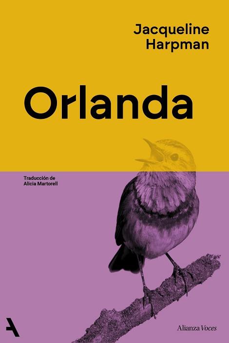 ORLANDA | 9791370093020 | HARPMAN, JACQUELINE | Llibreria L'Illa - Llibreria Online de Mollet - Comprar llibres online