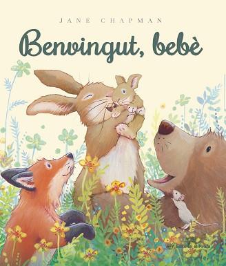BENVINGUT BEBÈ | 9788419912640 | CHAPMAN, JANE | Llibreria L'Illa - Llibreria Online de Mollet - Comprar llibres online