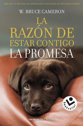 RAZÓN DE ESTAR CONTIGO, LA | 9788417821432 | CAMERON, W. BRUCE | Llibreria L'Illa - Llibreria Online de Mollet - Comprar llibres online