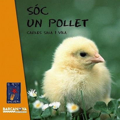 SÓC UN POLLET | 9788448926618 | SALA VILA, CARLES | Llibreria L'Illa - Llibreria Online de Mollet - Comprar llibres online